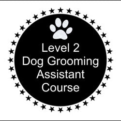 Curso de asistente de peluquería canina de nivel 2