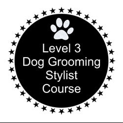 Hundefriseur-Stylisten-Kurs Stufe 3