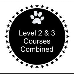 Cursos combinados de nivel 2 y nivel 3