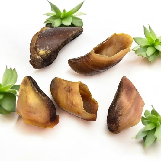 Cow Hooves - Individually