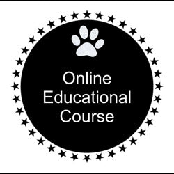 Online Educational Course
