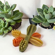 Toothbrush Dog Treats – 3 Pack (7cm)