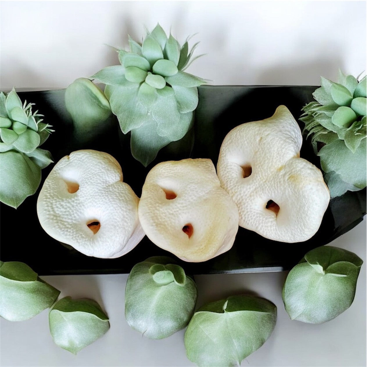 Puffed Pig Snouts - Pack of 4