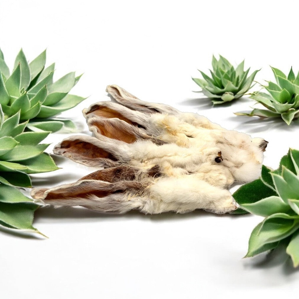 Rabbit Ears 100g