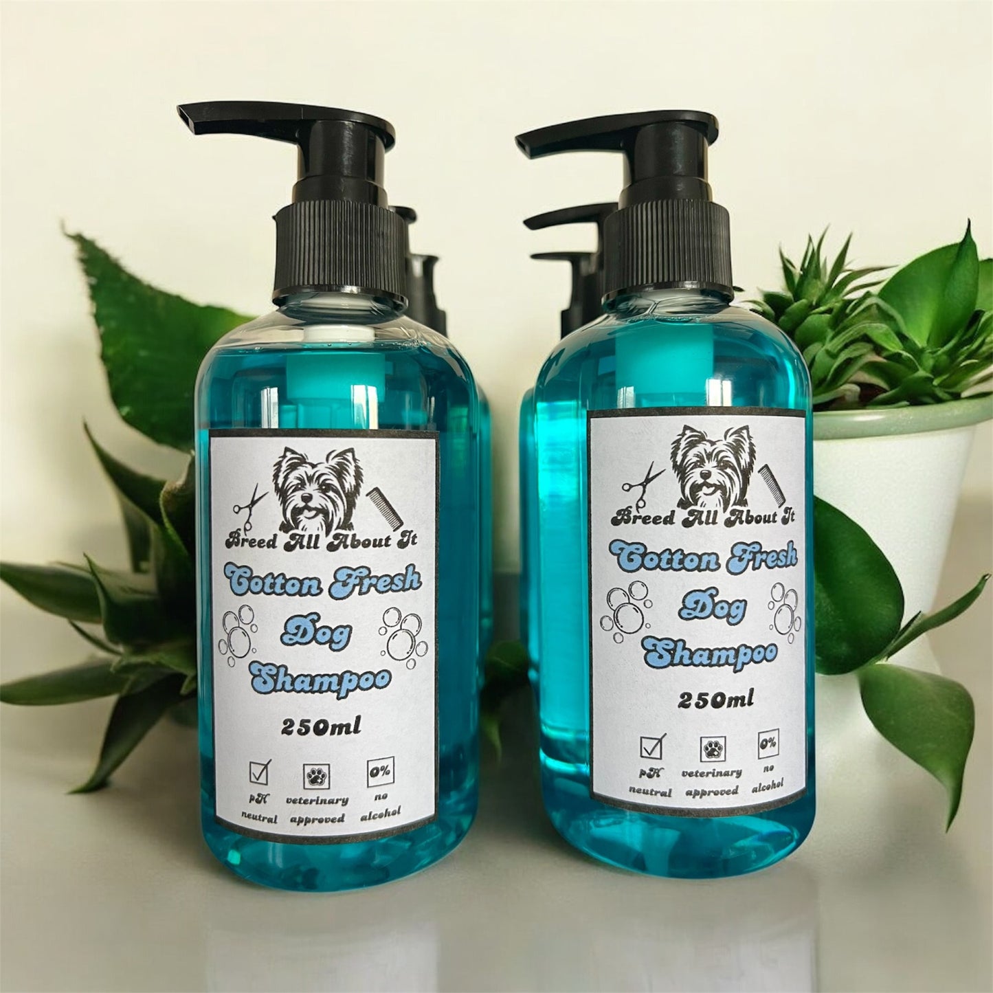 Cotton Fresh Shampoo 250ml